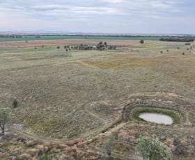 Rural / Farming commercial property for sale at 48 Gurley Settlers Road Gurley NSW 2398
