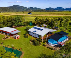 Rural / Farming commercial property sold at 17 Watson Road Bartle Frere QLD 4861