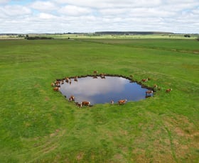 Rural / Farming commercial property for sale at Brians Road Breakaway Creek VIC 3303