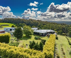 Rural / Farming commercial property sold at 25 Coopers Road Rocky Cape TAS 7321