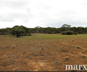 Rural / Farming commercial property sold at Lot 1 W Falkenbergs Road Sedan SA 5353