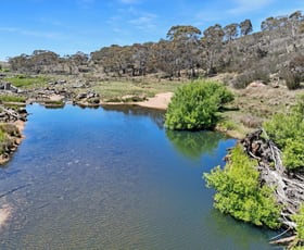 Rural / Farming commercial property for sale at Lot 50 Delegate Road Bombala NSW 2632