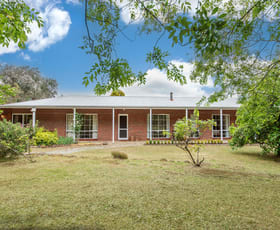 Rural / Farming commercial property sold at 66 W Schultz Road Hamilton VIC 3300