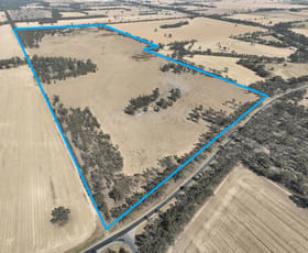 Rural / Farming commercial property for sale at 4296 Murray Valley Highway Nathalia VIC 3638