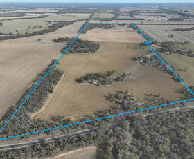 Rural / Farming commercial property for sale at 4296 Murray Valley Highway Nathalia VIC 3638