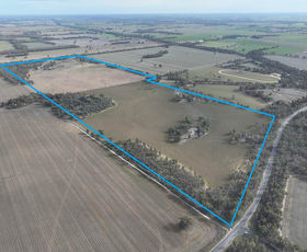 Rural / Farming commercial property for sale at 4296 Murray Valley Highway Nathalia VIC 3638