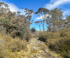 Rural / Farming commercial property for sale at 331L Arthurs Lake Road Arthurs Lake TAS 7030