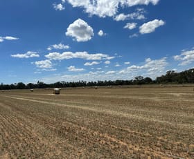 Rural / Farming commercial property for sale at 359 Roney Road Capels Crossing VIC 3579