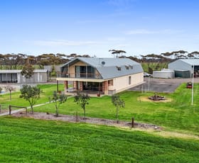 Rural / Farming commercial property for sale at 135 Chilton Scrub Road Langhorne Creek SA 5255