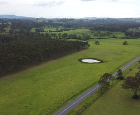 Rural / Farming commercial property for sale at Lot 41 Bruxner Highway Sandilands NSW 2469