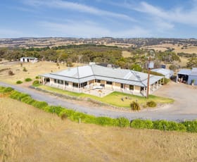Rural / Farming commercial property for sale at 409 Flagstaff Hill Road Middleton SA 5213