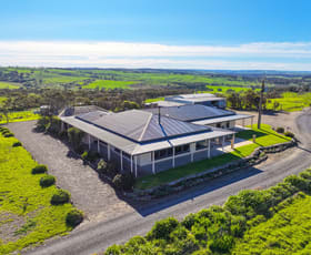 Rural / Farming commercial property for sale at 409 Flagstaff Hill Road Middleton SA 5213