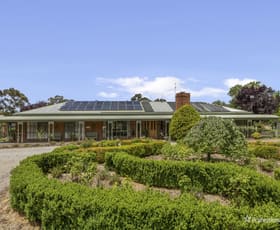 Rural / Farming commercial property for sale at 5770 Ballarat - Maryborough Road Daisy Hill VIC 3465
