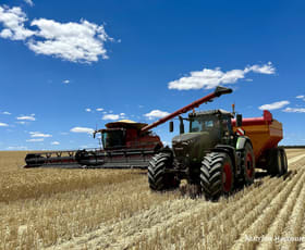 Rural / Farming commercial property for sale at 5670 Soldiers Road Narembeen WA 6369