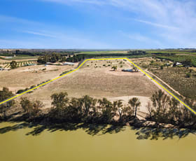 Rural / Farming commercial property for sale at Lot 69 Hartwig Road Taylorville SA 5330