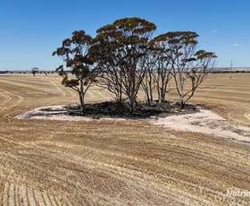 Rural / Farming commercial property sold at 18984 Great Eastern Highway South Doodlakine WA 6411