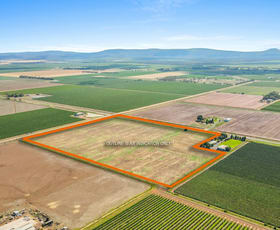 Rural / Farming commercial property for sale at 1346 Myall Park Road Yenda NSW 2681