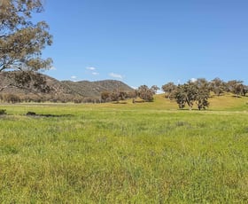 Rural / Farming commercial property for sale at 1532 Castlereagh Highway Mudgee NSW 2850