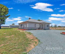 Rural / Farming commercial property for sale at 924 Lowe Road Ballendella VIC 3561