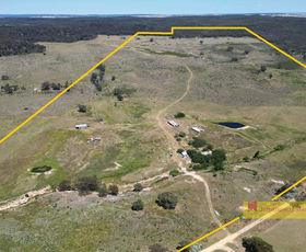 Rural / Farming commercial property sold at 1/1921 Barneys Reef Road Gulgong NSW 2852