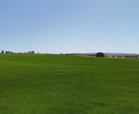 Rural / Farming commercial property for sale at 'Ryans' Archie Road Murray Town SA 5481