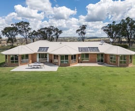 Rural / Farming commercial property for sale at 20 Trainview Street Woolbrook NSW 2354