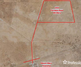 Rural / Farming commercial property for sale at 2553 Florieton Road Mount Mary SA 5374