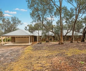 Rural / Farming commercial property for sale at 503 Mia Mia-Derrinal Road Heathcote VIC 3523
