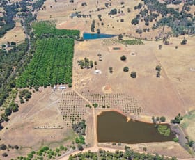 Rural / Farming commercial property for sale at 43 Hearle Road Mumballup WA 6225