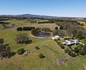 Rural / Farming commercial property for sale at "Abbyville" 90 Convent Lane Borenore NSW 2800