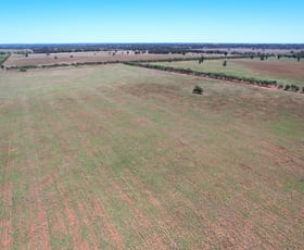 Rural / Farming commercial property for sale at 371 Blue Letterbox Lane Tullamore NSW 2874