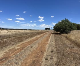 Rural / Farming commercial property for sale at 74 Duggan Road Mount Barker WA 6324