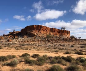 Rural / Farming commercial property for sale at Mount Farmer Station Mount Magnet WA 6638