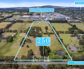 Rural / Farming commercial property for sale at 250 Hamilton Road New Gisborne VIC 3438