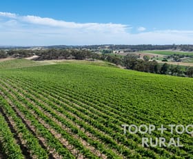 Rural / Farming commercial property for sale at 61 McRae Wood Road Clare SA 5453