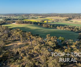 Rural / Farming commercial property for sale at 61 McRae Wood Road Clare SA 5453
