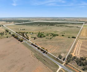 Rural / Farming commercial property for sale at 607 Loddon Valley Highway Durham Ox VIC 3576