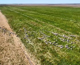 Rural / Farming commercial property for sale at 33251 Sturt Highway Hay NSW 2711