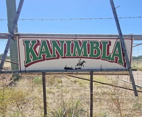 Rural / Farming commercial property for sale at 151 Burban Street Brewarrina NSW 2839