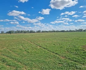 Rural / Farming commercial property for sale at 151 Burban Street Brewarrina NSW 2839