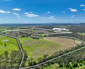 Rural / Farming commercial property for sale at 119 Paddys Flat Road Tabulam NSW 2469