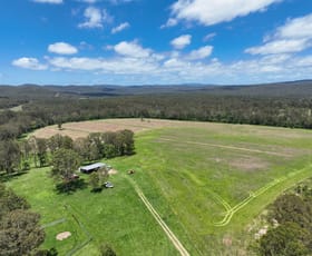 Rural / Farming commercial property for sale at 119 Paddys Flat Road Tabulam NSW 2469