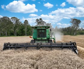 Rural / Farming commercial property for sale at 119 Paddys Flat Road Tabulam NSW 2469