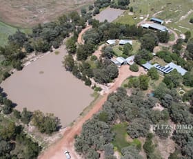 Rural / Farming commercial property for sale at 189 Wilsons Road Ducklo QLD 4405