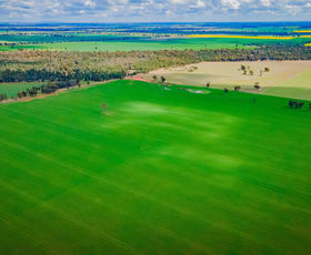 Rural / Farming commercial property sold at 80 Lucas Lane Coolamon NSW 2701