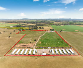 Rural / Farming commercial property for sale at 4194 Bridgewater-Maldon Road Bridgewater VIC 3516