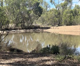 Rural / Farming commercial property for sale at Lot 1 Bambling Road Brush Creek QLD 4387