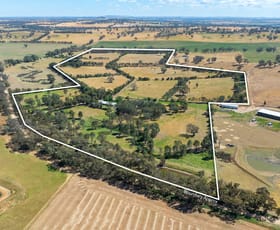 Rural / Farming commercial property for sale at 566 Stoney Park Road Burrumbuttock NSW 2642