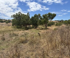 Rural / Farming commercial property sold at Lot 101 Drage Street Sandy Gully WA 6535