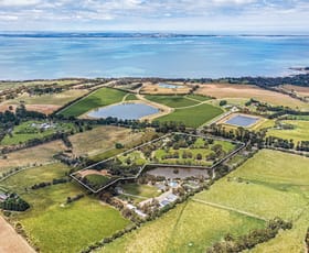 Rural / Farming commercial property for sale at 3650 Frankston Flinders Road Merricks VIC 3916 Rural / Farming commercial property for sale at 3650 Frankston Flinders Road Merricks VIC 3916